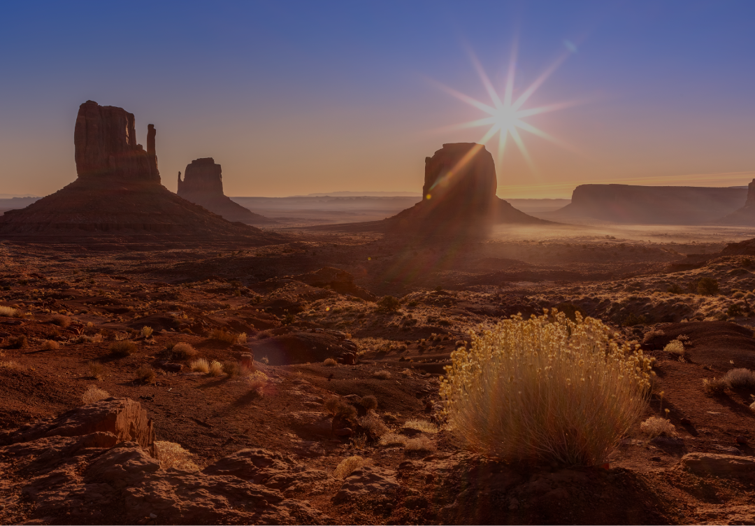 単肥及び肥料原料