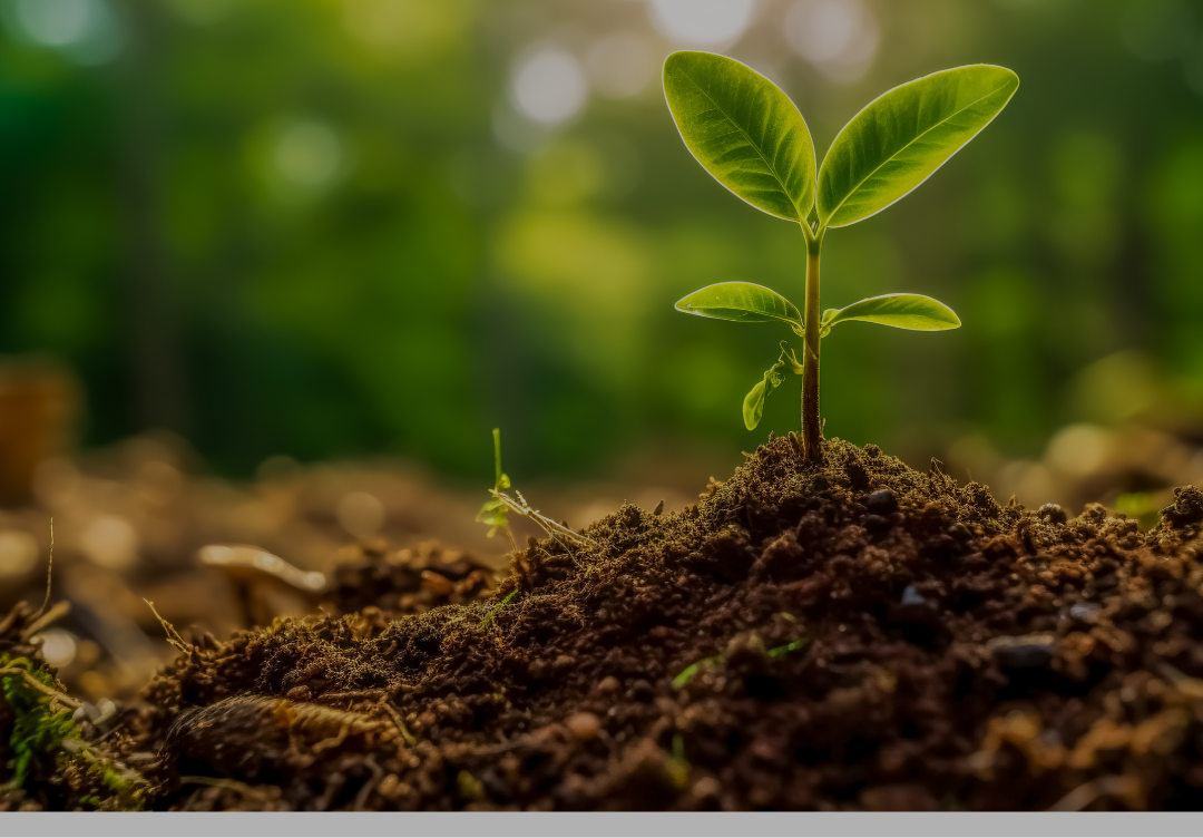 土づくり資材/土壌改良剤その他